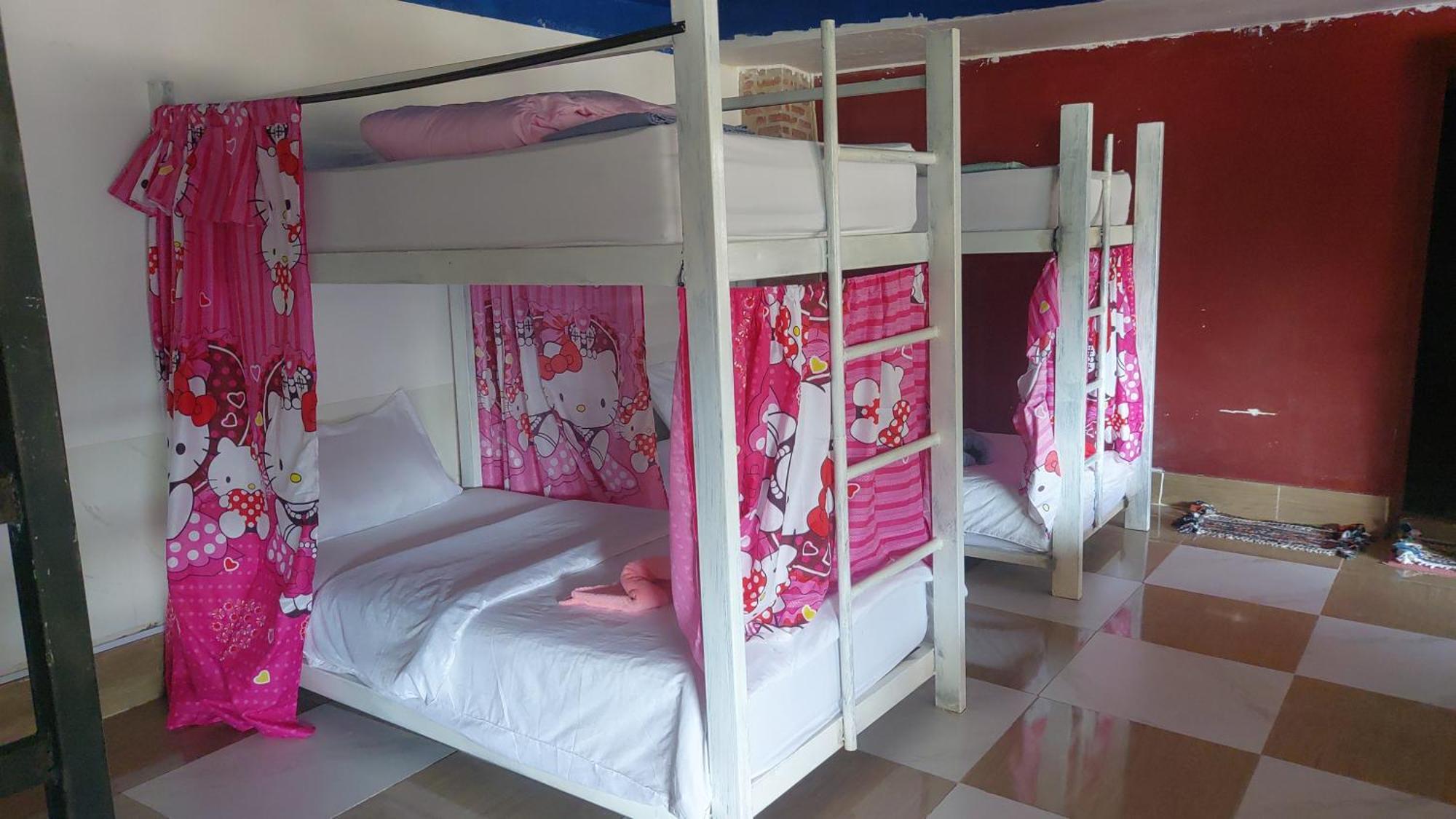 Mekong Backpackers Pakbeng Lejlighed Værelse billede