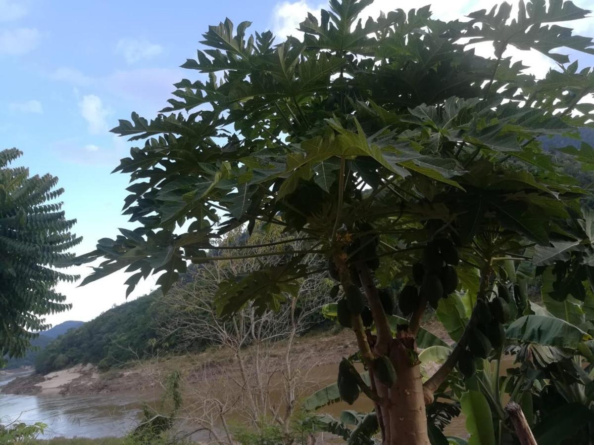 Mekong Backpackers Pakbeng Lejlighed Eksteriør billede